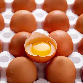 상품 이미지: [HACCP/무항생제 인증] 난각번호 1번 유정란 40구 / 파손보상