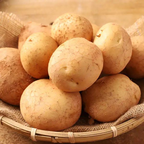 상품 이미지: 국내산 포슬포슬 담백한 햇감자 5kg(대)