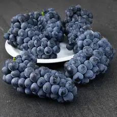 상품 이미지: 아주마 영동 상주산 캠벨포도, 2kg, 1개
