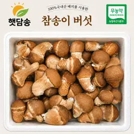 상품 이미지: 친환경 햇담송 참송이버섯 3등급 가정용 실속형 1kg 무농약 농협납품 송이버섯