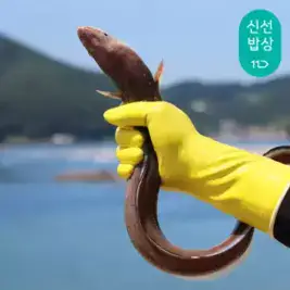 상품 이미지: [품질보장]이순신수산 통영 국내산 붕장어 아나고 자연산 바다장어 [왕특] 1kg (1미) 손질후 600g