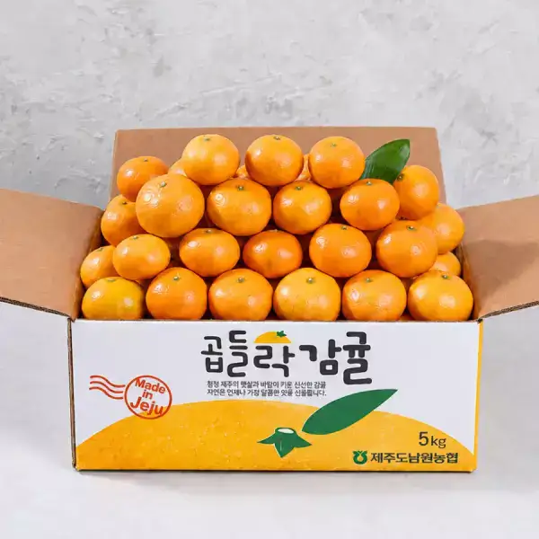 상품 이미지: [AI 선별] 제주남원농협 노지 감귤 4.5kg 소과 (2S-3S)