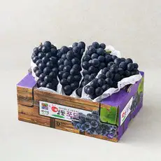 상품 이미지: 메이빌 영동 캠벨포도 3~4수, 1개, 1kg